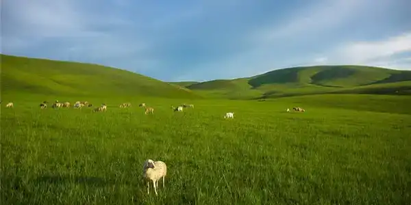 甲申乙酉泉中水命是什麼意思？納音泉中水命好不好？