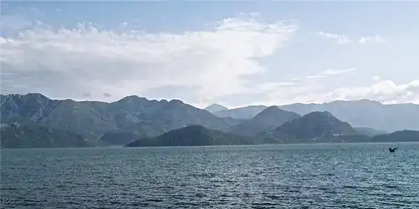 庚申辛酉石榴木命是什麼意思？八字納音是石榴木命怎麼樣？